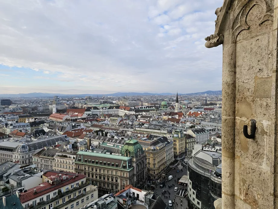 Vista da torre sul