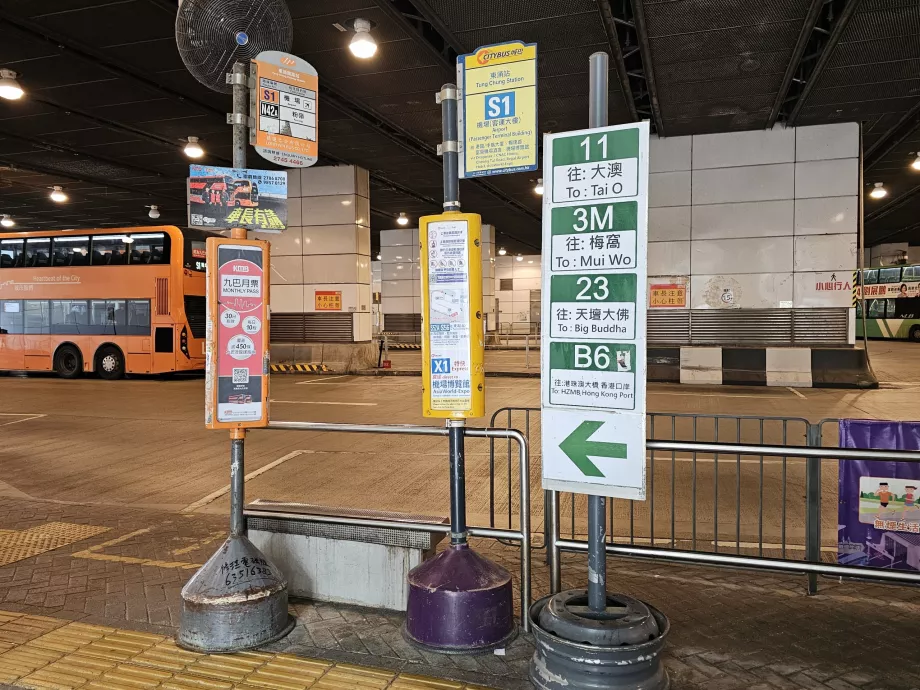 Bus stop S1, Tung Chung