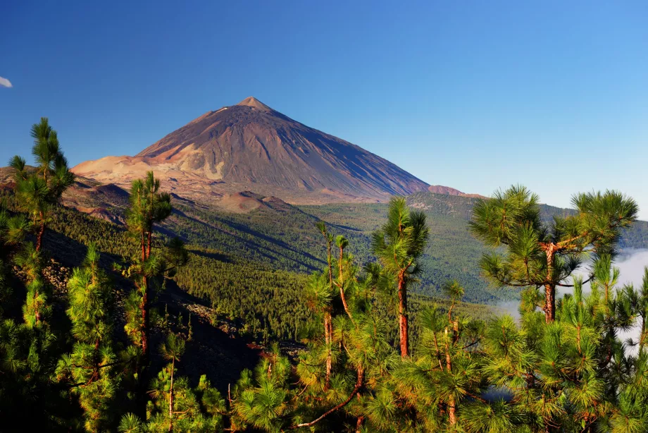 Pico do Teide