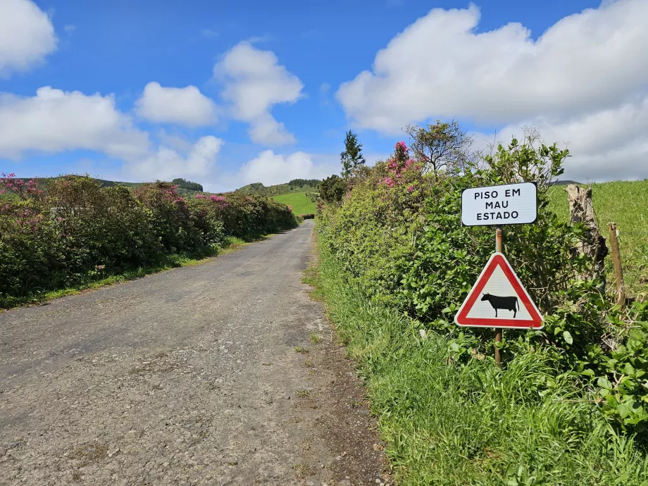 Sinalética ao longo das estradas da ilha das Flores