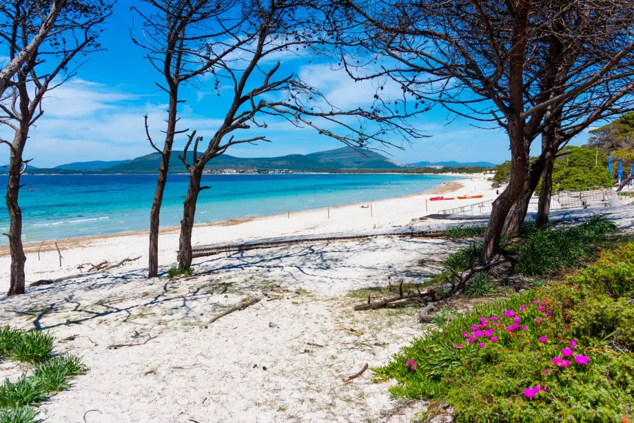 Praias de Alghero