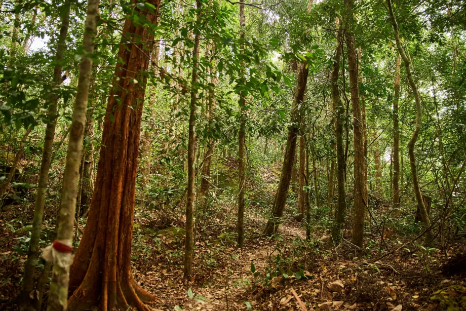 Parque nacional, Phu Quoc, Vietname