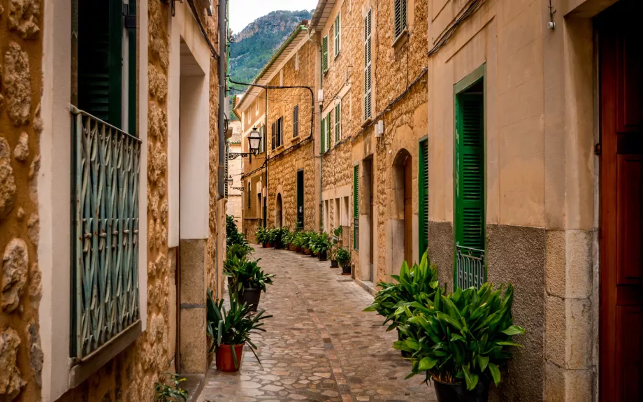 Soller