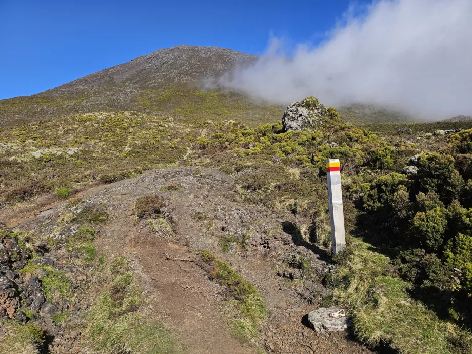 Sinais turísticos, Pico