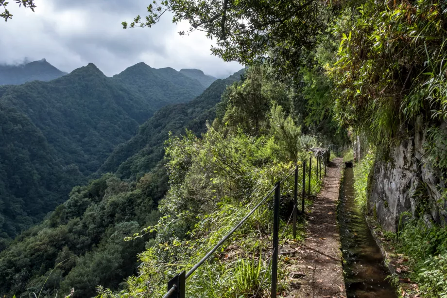 Levada para Rei