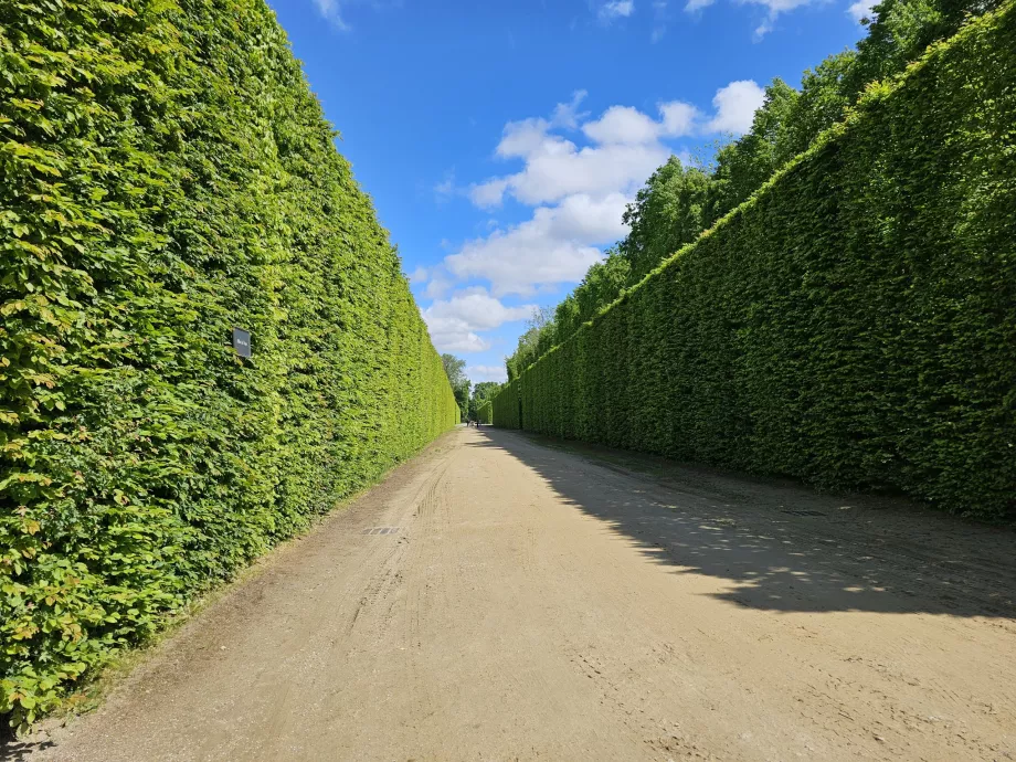 Jardins de Versalhes