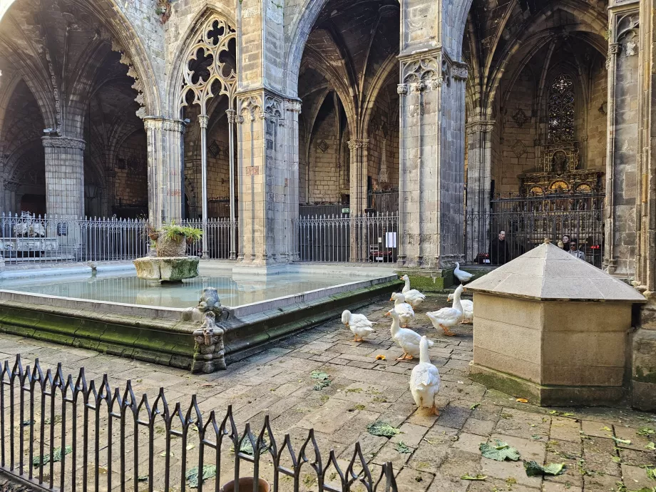 Catedral de Barcelona, Pátio