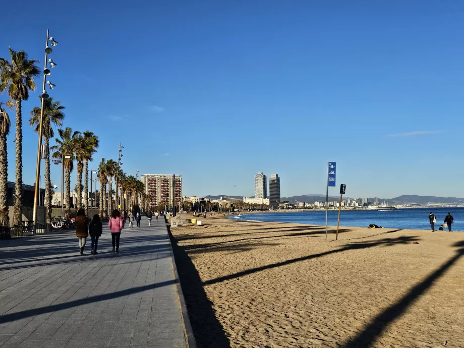 Praia de Barceloneta