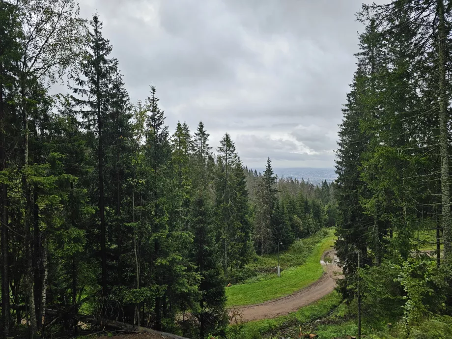 Caminhadas em Holmenkollen