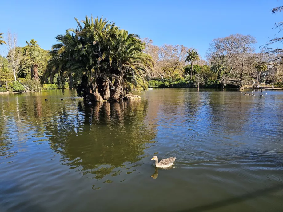 Parque da Cidadela