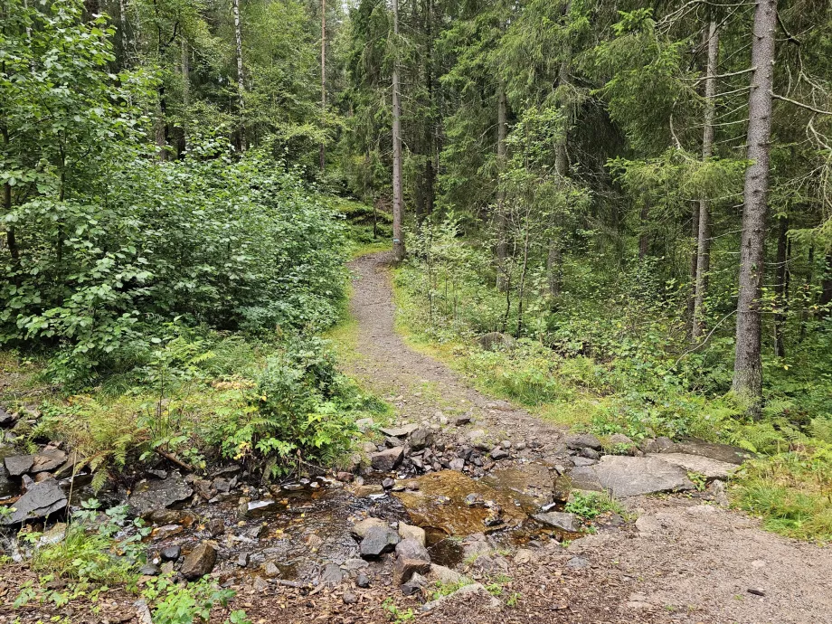 Caminhadas em Oslo