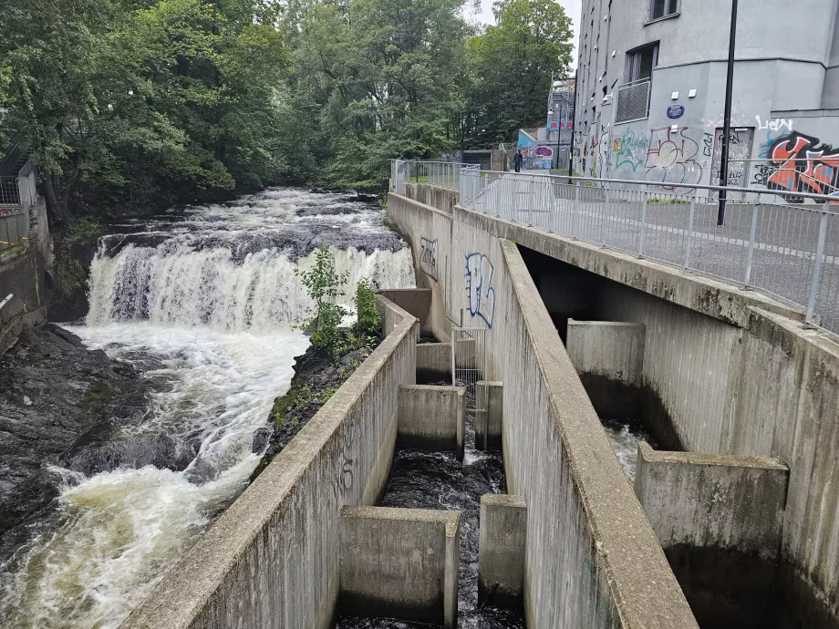 Travessia de peixes, Akerselva