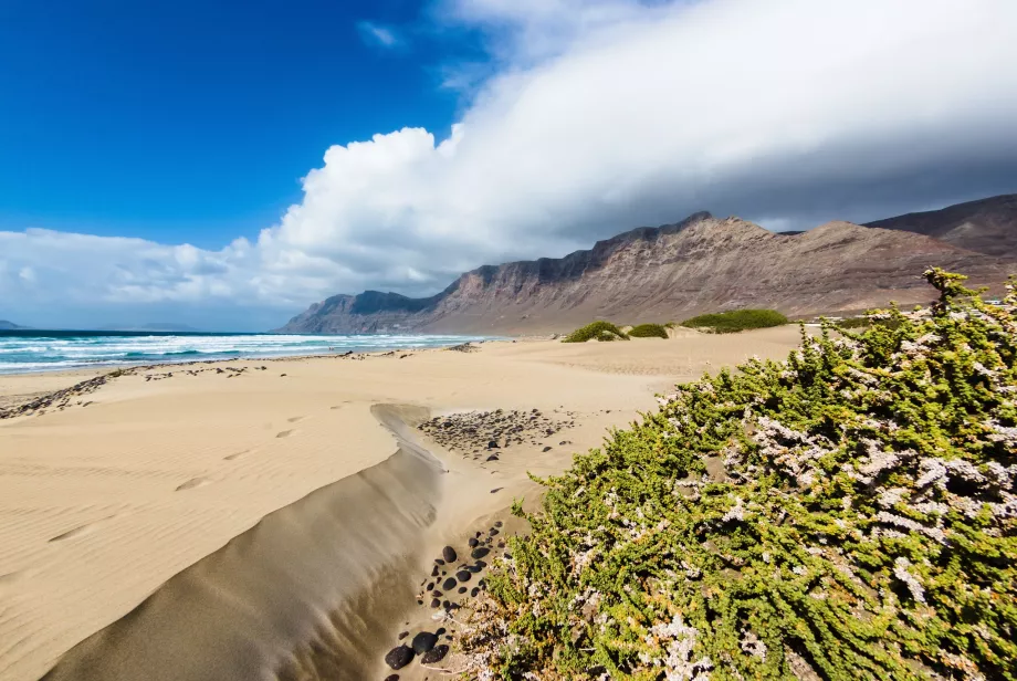 Praia de Famara