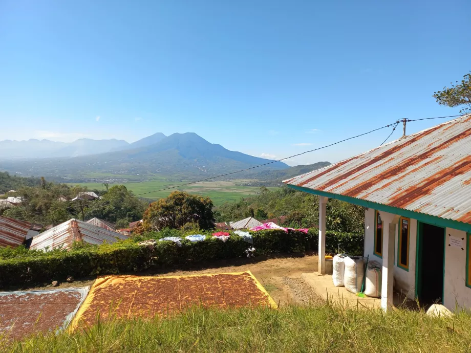 Ilha das Flores, Indonésia