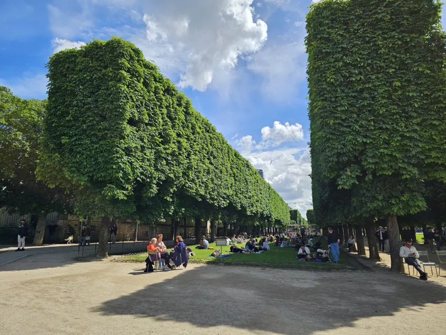 Jardins do Luxemburgo