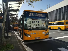 Autocarros públicos do Funchal (urbanos)