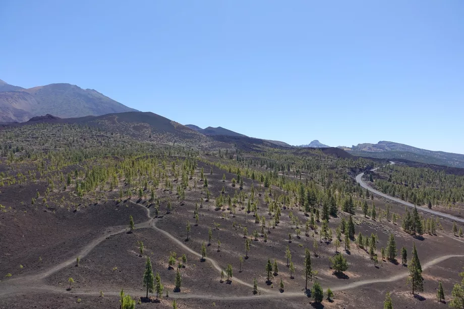 Paisagem do Parque Natural do Teide