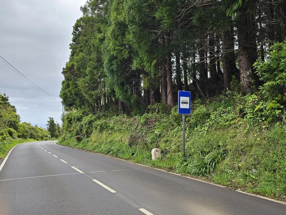 Paragem de autocarro, Ilha do Pico