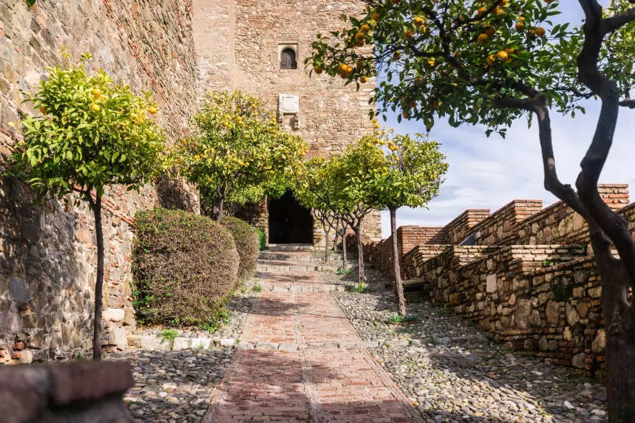 Alcazaba e laranjeiras