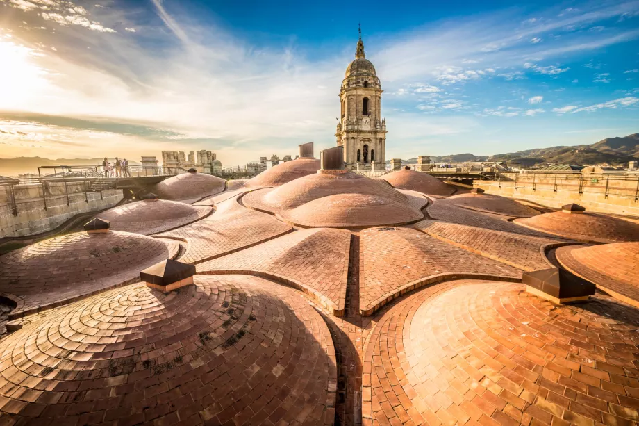 Visitar o teto da catedral