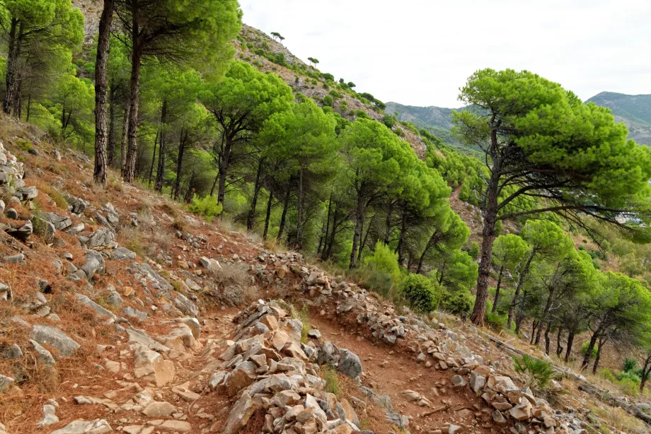 Serra de Mijas