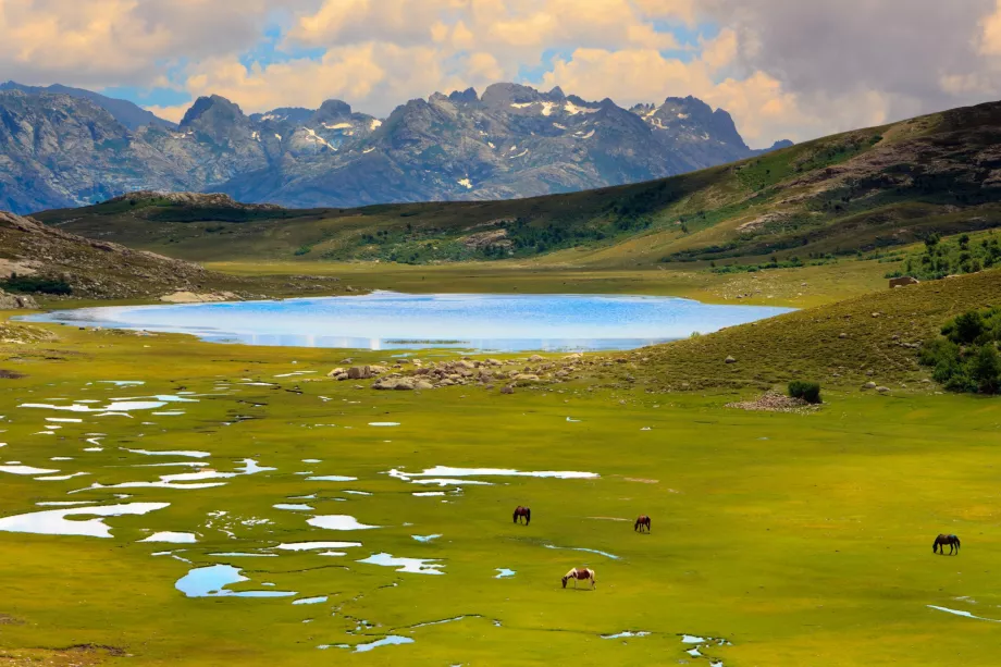 Lago de Nino