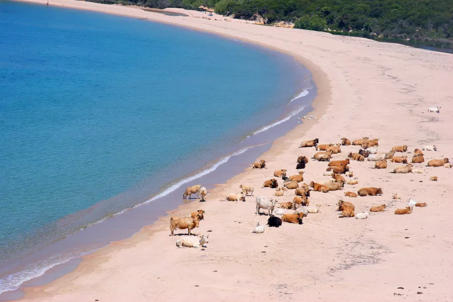 Praia de Erbaju