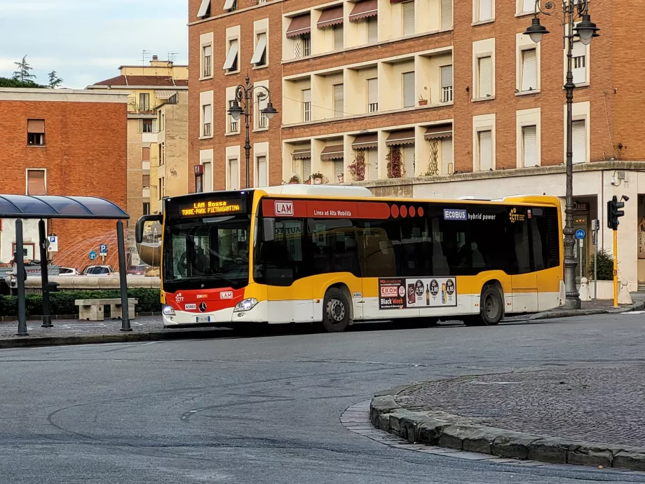 Linhas de autocarro LAM Rossa