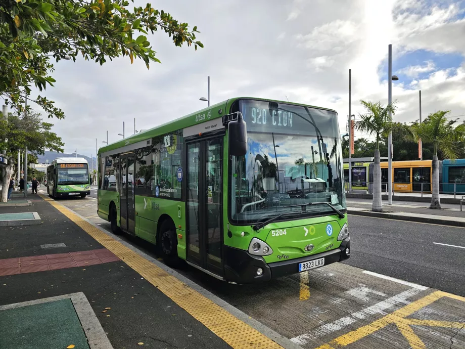 Autocarro em Santa Cruz