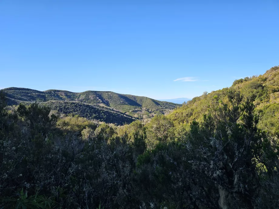 Paisagem em redor de Laguna Grande