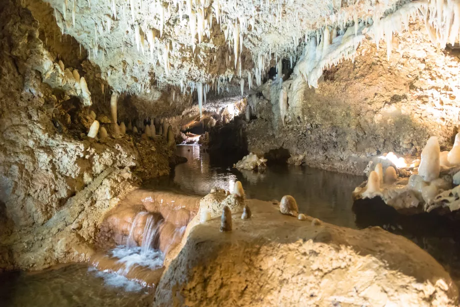 Gruta de Harisson