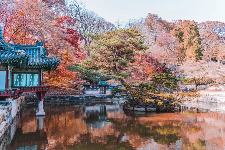 O Jardim Proibido