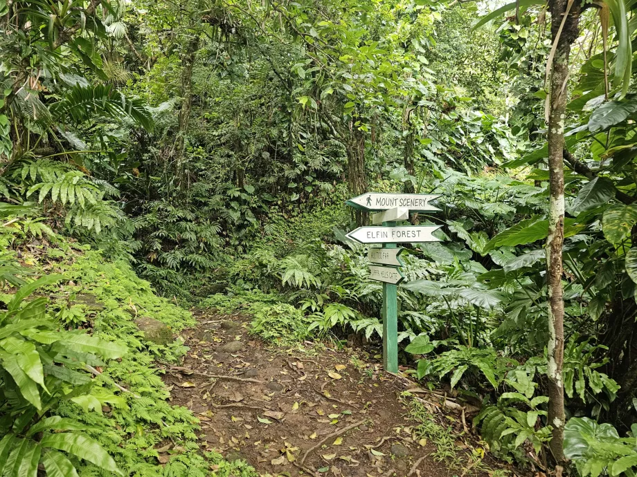 Trilhos para caminhadas em Saba