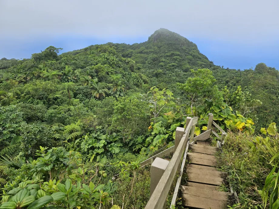 Trilho do Monte das Paisagens