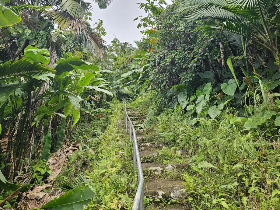 Trilho do Monte das Paisagens