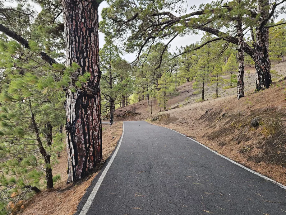 Estrada de montanha