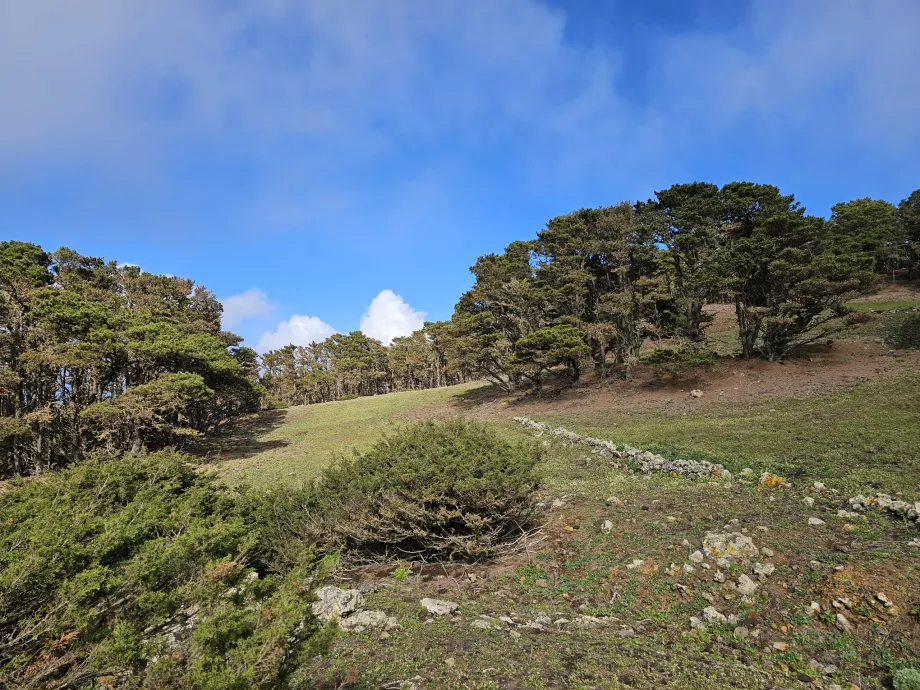 Oeste El Hierro