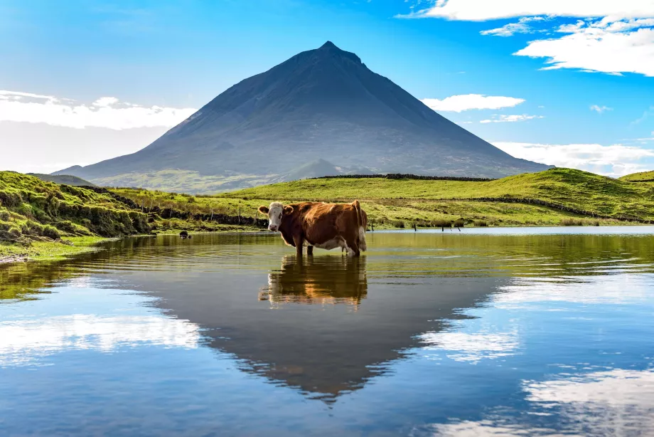 Açores Pico