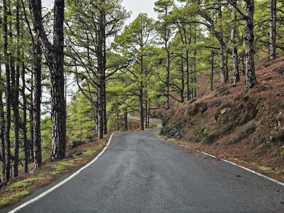 Estrada de El Julan