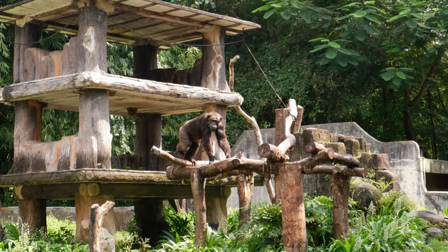 Jardim Zoológico de Gembira Loka