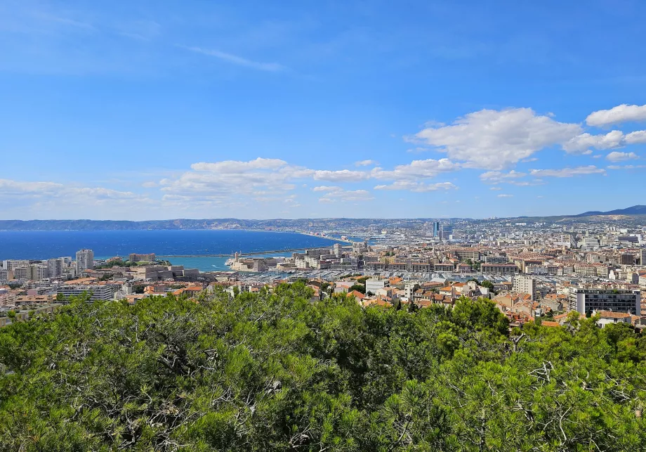 Vista da Catedral de Notre-Dame