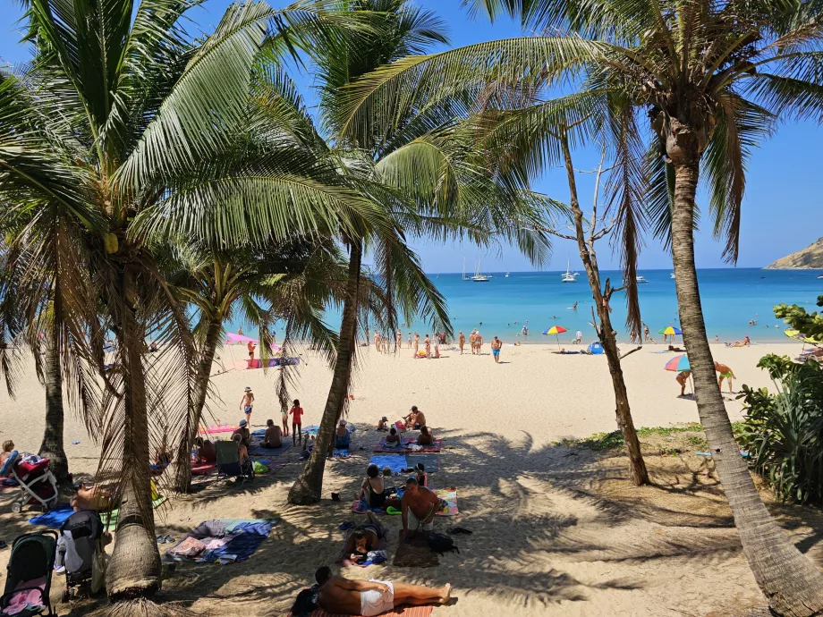 Sombra na praia de Nai Harn