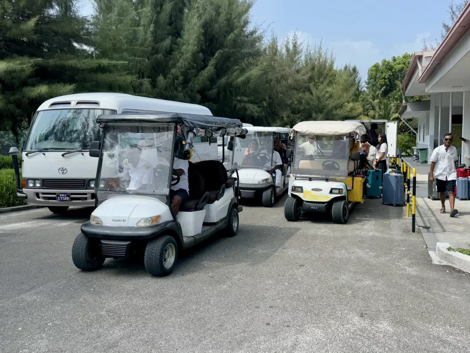 Buggies para a viagem até ao porto