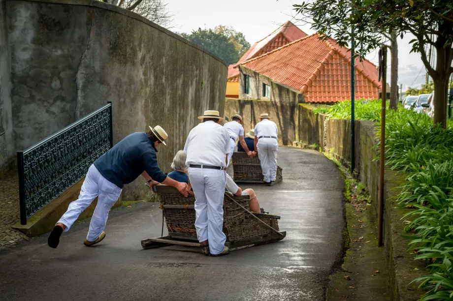 Trenó da Madeira