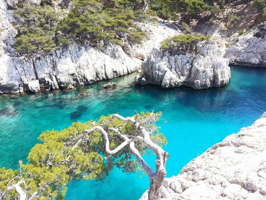 A baía de Calanques