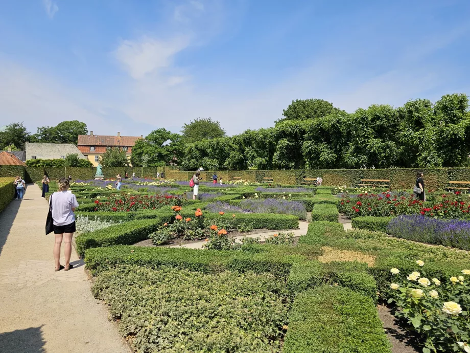 Jardim de rosas