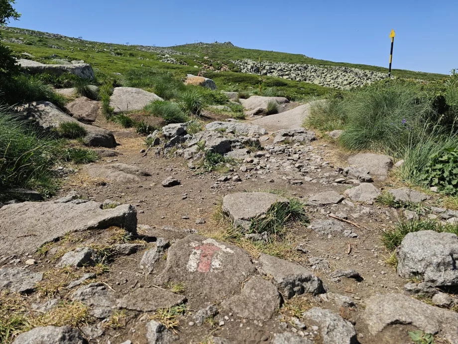 Caminho turístico para Vitosha