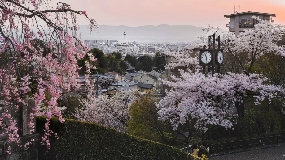 primavera Kyoto