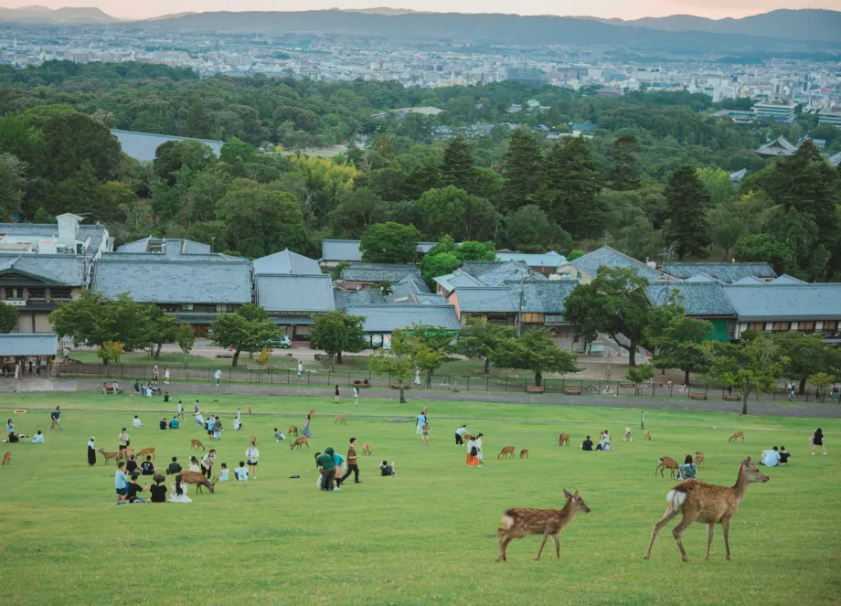 Vista do Parque de Nara