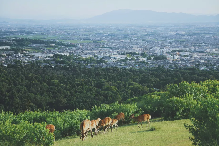 Vista do Parque de Nara